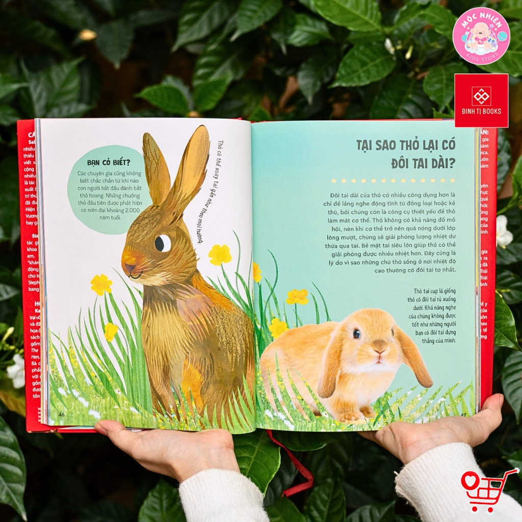 Sách - Bách khoa thư Britannica cho trẻ em (Dành cho độ tuổi 6+) - Đinh Tị Books