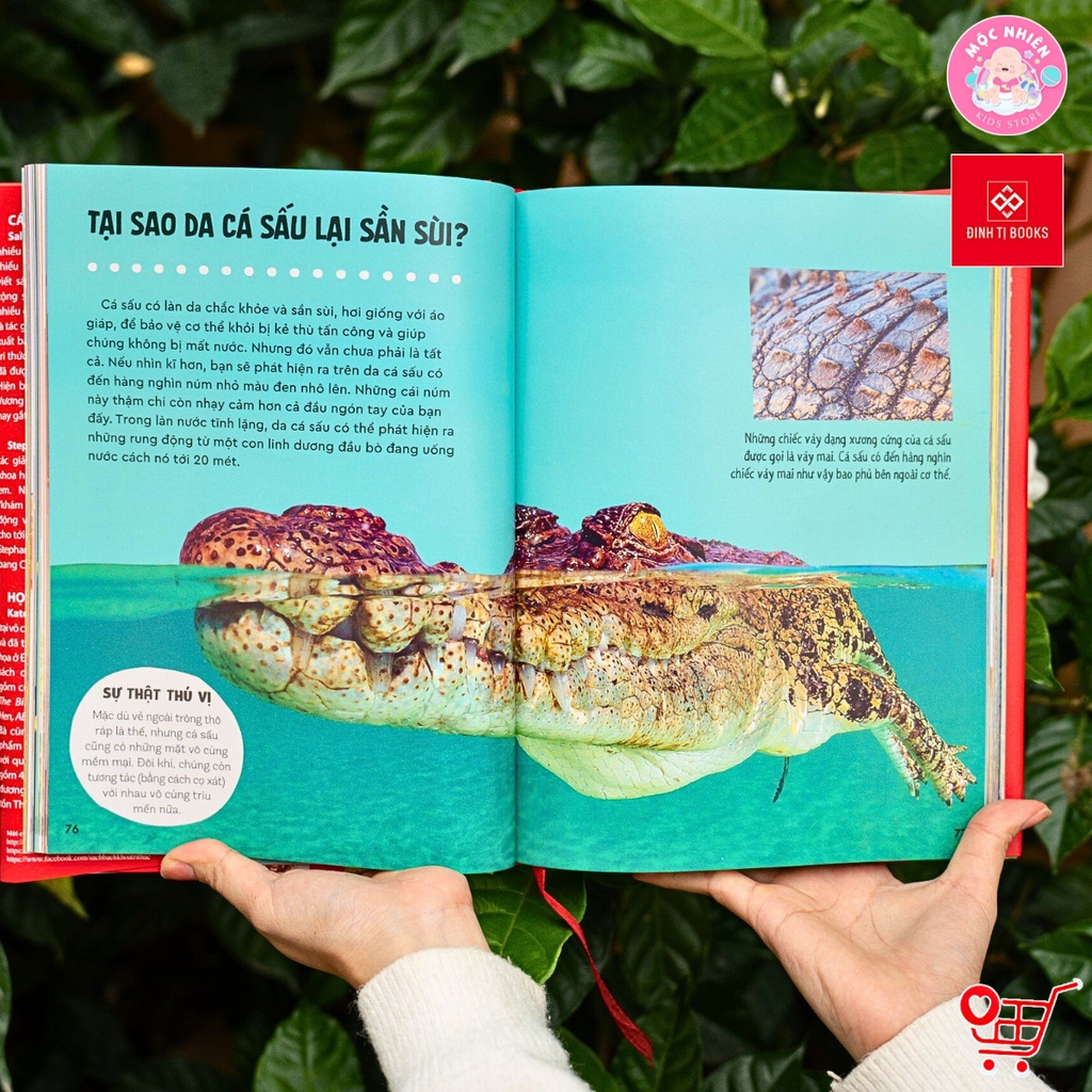 Sách - Bách khoa thư Britannica cho trẻ em (Dành cho độ tuổi 6+) - Đinh Tị Books