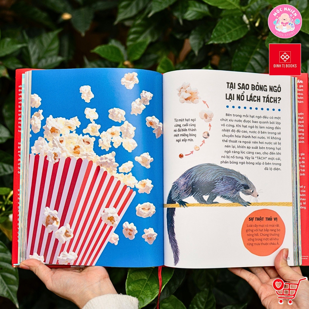 Sách - Bách khoa thư Britannica cho trẻ em (Dành cho độ tuổi 6+) - Đinh Tị Books