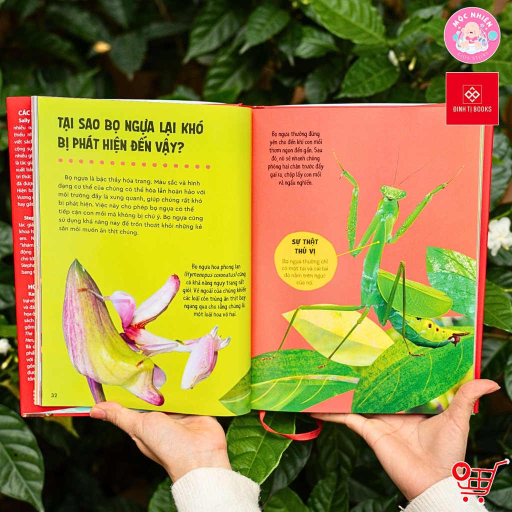 Sách - Bách khoa thư Britannica cho trẻ em (Dành cho độ tuổi 6+) - Đinh Tị Books