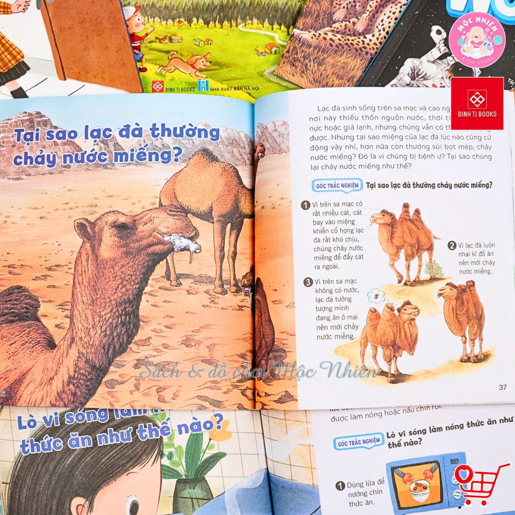 Sách - Wow, thì ra là thế - Đinh Tị Books (Lẻ cuốn)
