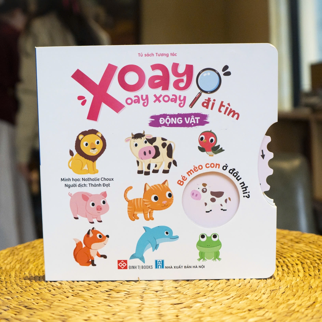 Combo 3 quyển sách Xoay xoay xoay - Đi tìm... Đinh Tị Books
