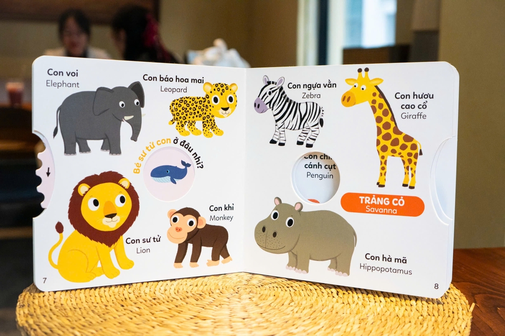 Sách tương tác - Xoay xoay xoay - Đi tìm… - Đinh Tị Books