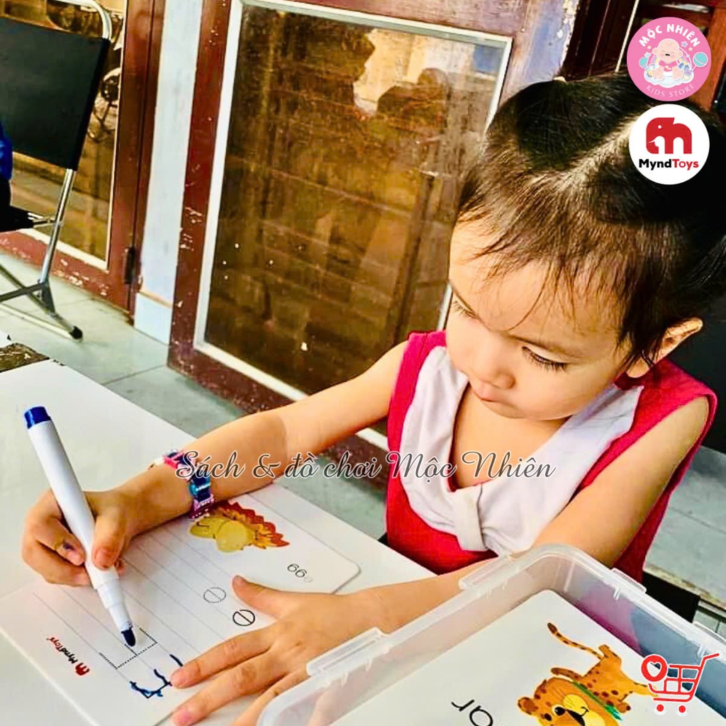 Đồ Chơi Giáo Dục MyndToys My Encyclopedia – Combo 02 Bộ Thẻ Học Chữ Cái và Số Đếm - Dành Cho Bé Trên 4 Tuổi