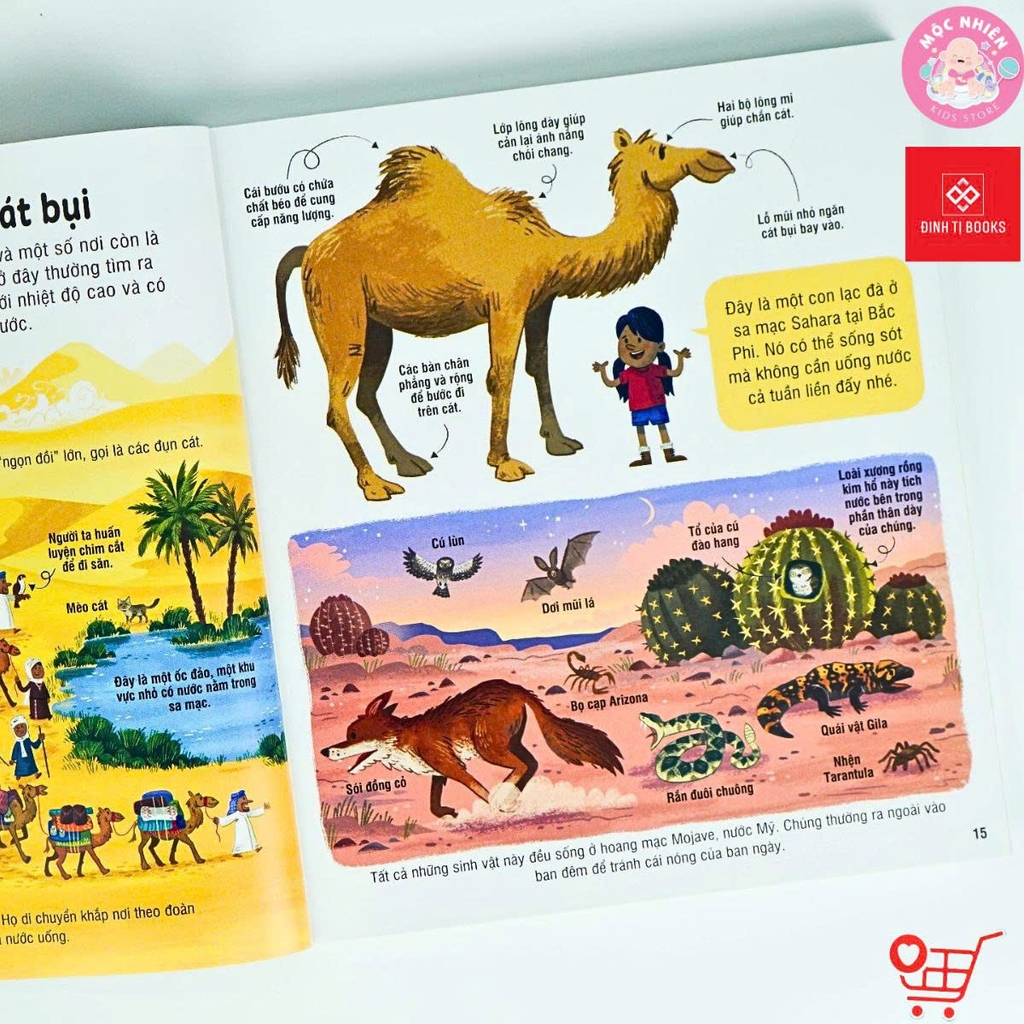 Sách Bách khoa tri thức cho trẻ em (3 tuổi trở lên) - Usborne - Đinh Tị Books