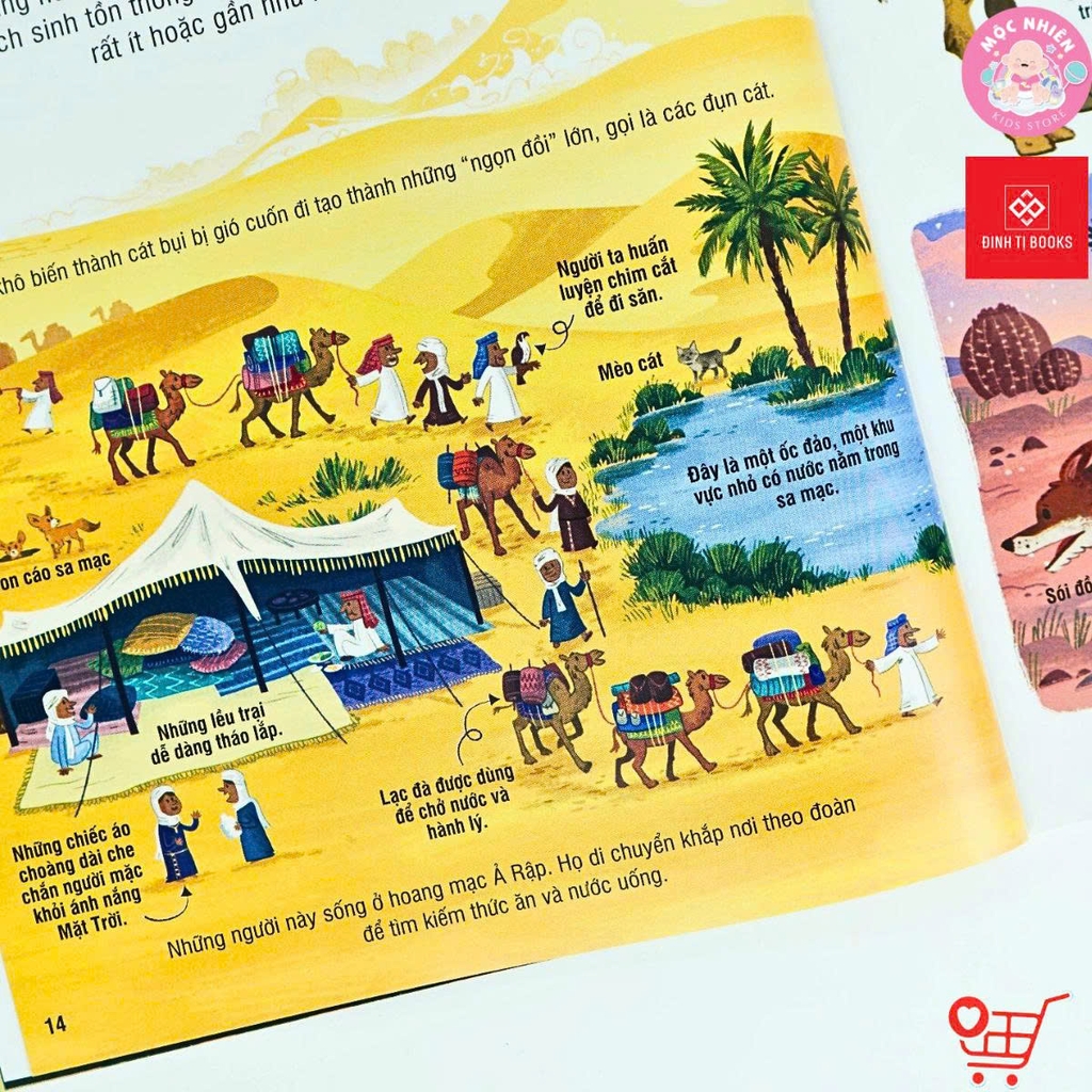 Sách Bách khoa tri thức cho trẻ em (3 tuổi trở lên) - Usborne - Đinh Tị Books