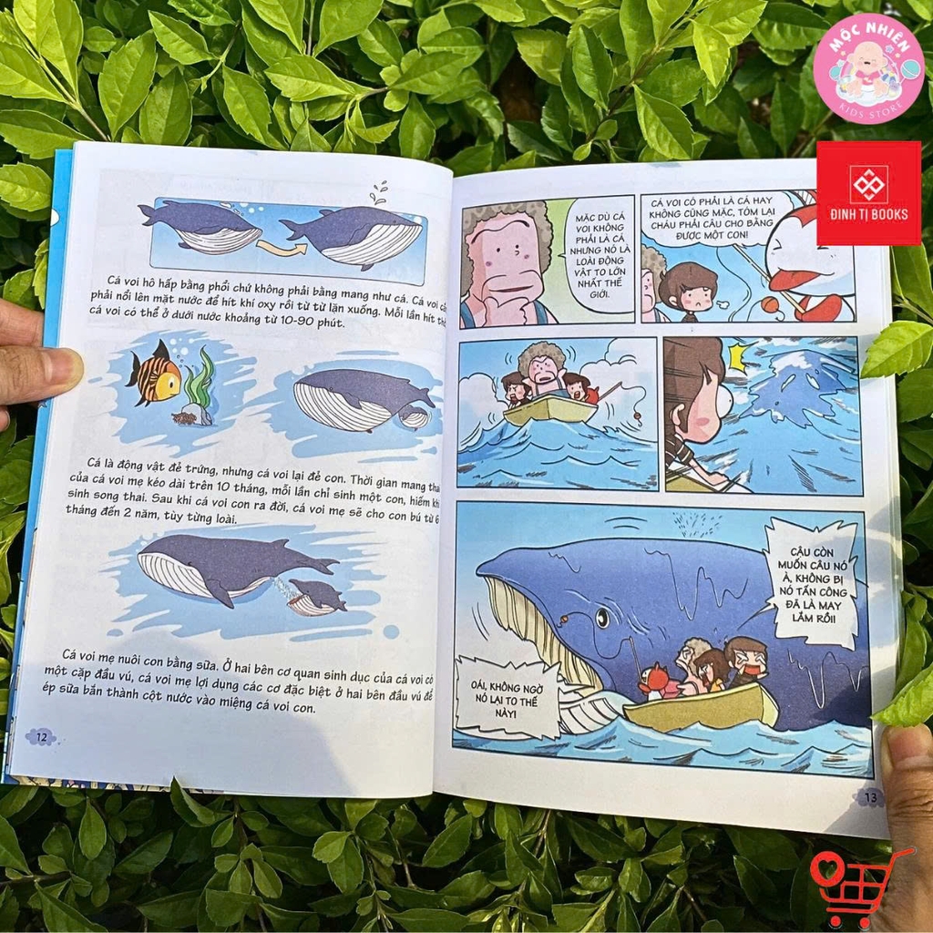 Combo 4 quyển Sách 10 vạn câu hỏi vì sao Trên trời - Dưới biển - Đinh Tị Books