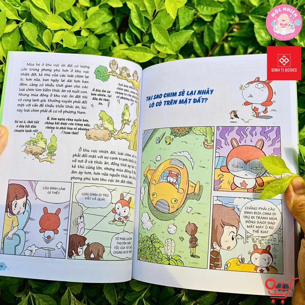 Combo 4 quyển Sách 10 vạn câu hỏi vì sao Trên trời - Dưới biển - Đinh Tị Books