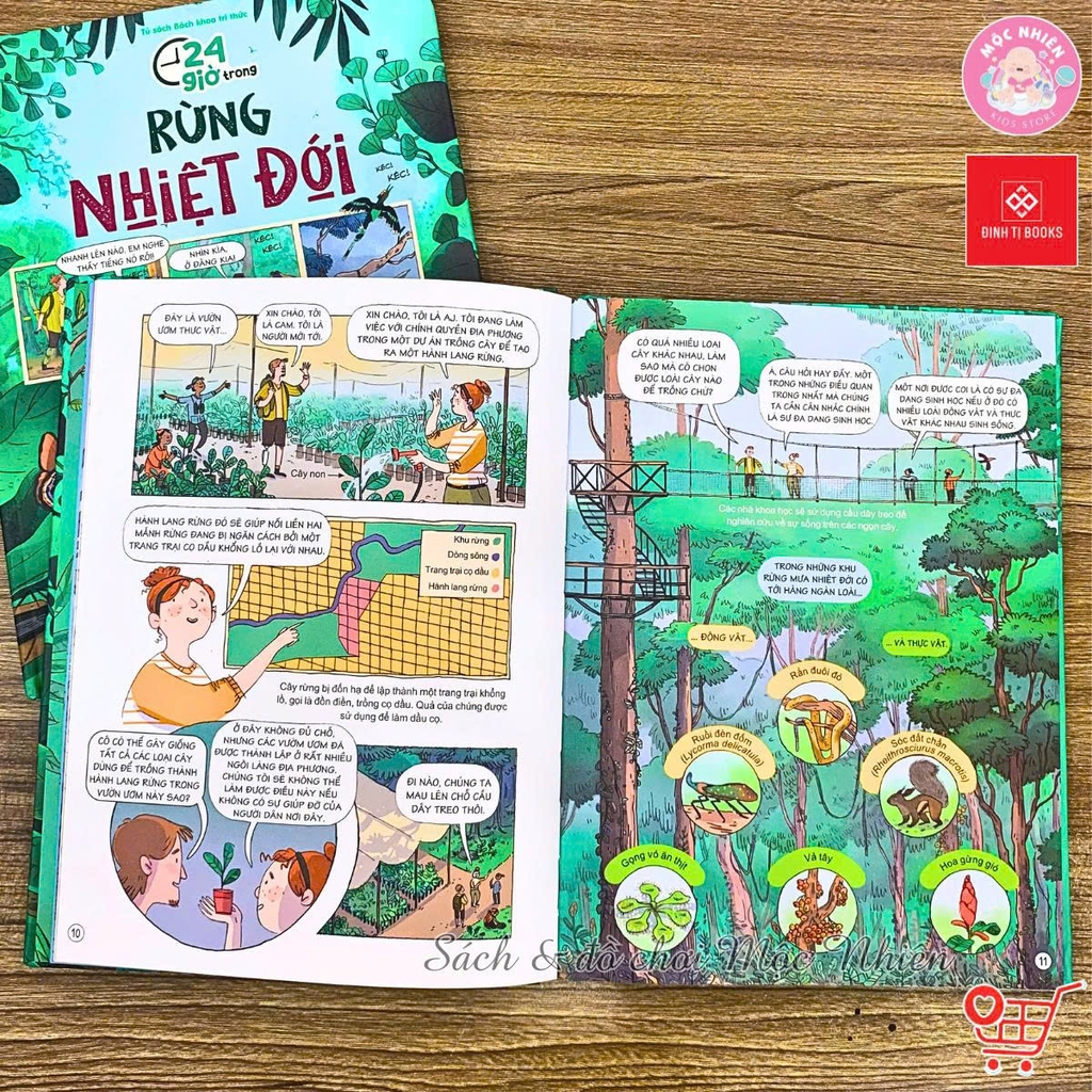 Combo 04 cuốn Sách 24 giờ - Truyện tranh khám phá cuộc sống cho trẻ từ 6 - 15 tuổi - Đinh Tị Books