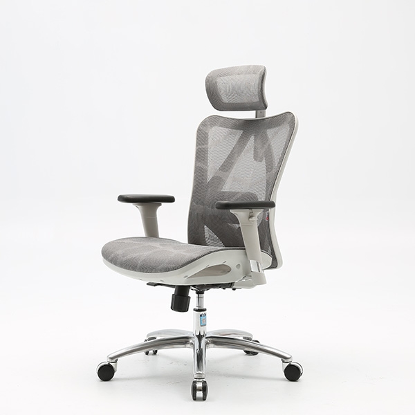 GHẾ CÔNG THÁI HỌC SIHOO M57 - FULL GREY