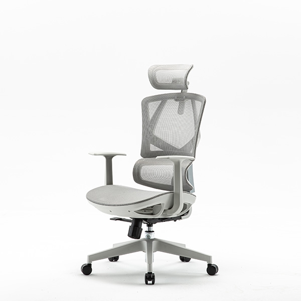 GHẾ CÔNG THÁI HỌC SIHOO M91C-201