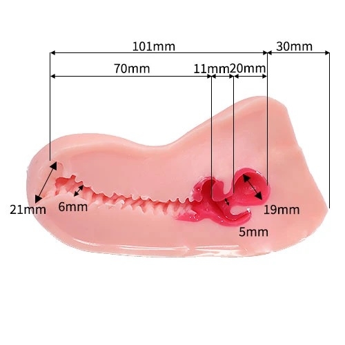 Âm đạo giả HOLE HON-MONO của G-Project onahole