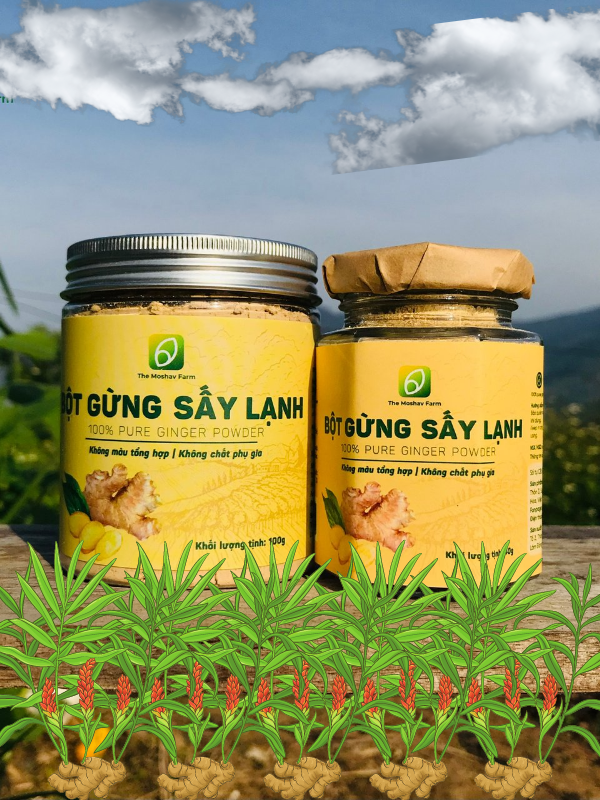 Bột gừng sấy lạnh