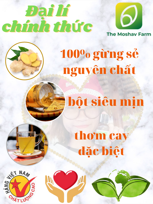 Bột gừng sấy lạnh