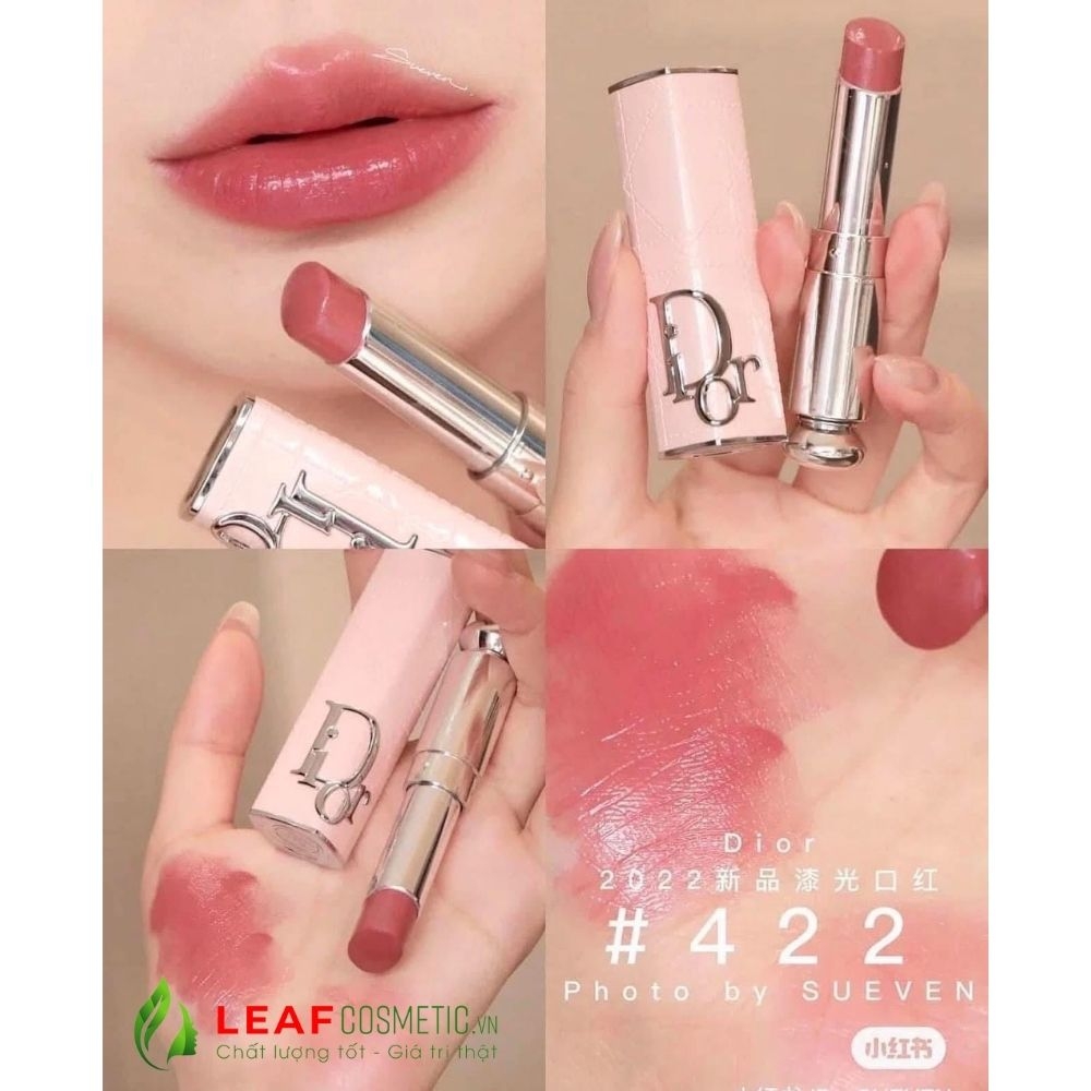 Son Thỏi Dior Addict Hydrating Shine 422 Rose Des Vents - Hồng Nâu