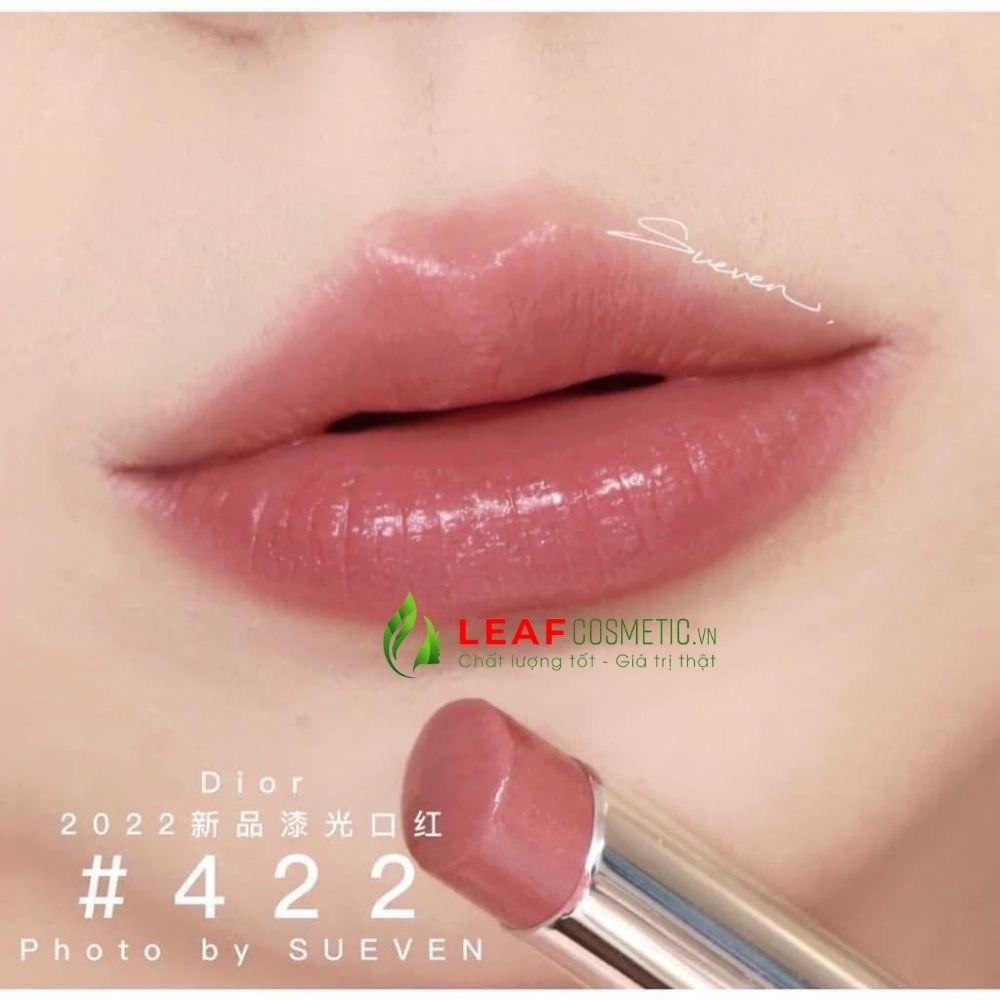 Son Thỏi Dior Addict Hydrating Shine 422 Rose Des Vents - Hồng Nâu