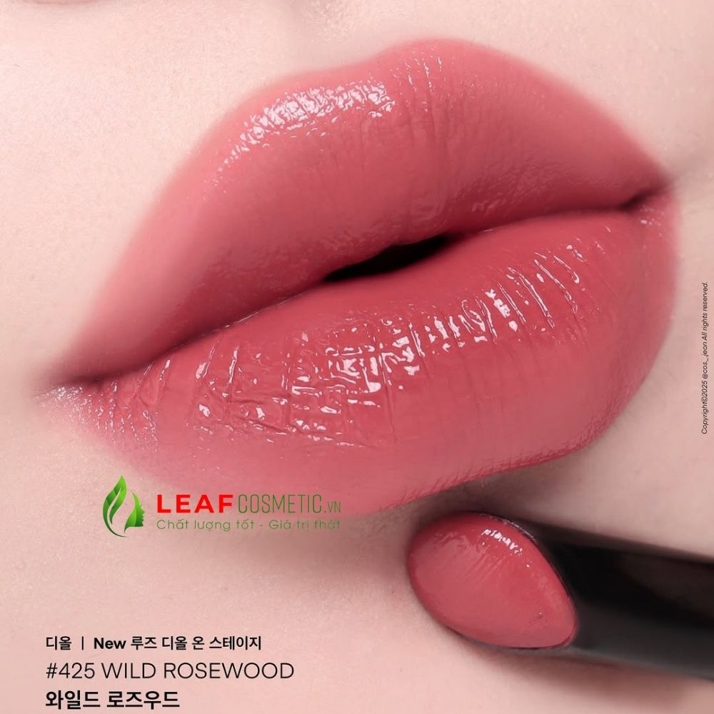 Son Thỏi Dior Rouge Dior On Stage 425 Wild Rosewood - Hồng Gỗ
