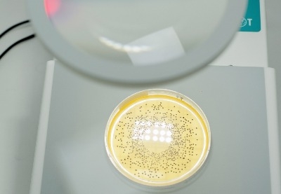 Máy đếm khuẩn lạc Model: DOT, IUL-Tây Ban Nha