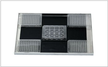 Máy lắc tác động kép loại OS-4000, Hãng JeioTech/Hàn Quốc