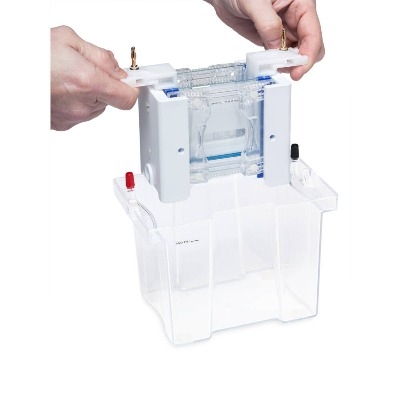 Bộ điện di đứng loại nhỏ - OmniPAGE Mini, Hãng: Cleaver Scientific-Anh