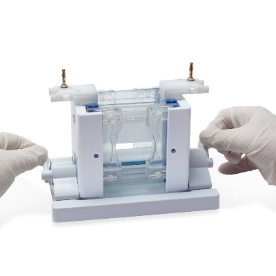 Bộ điện di đứng loại nhỏ - OmniPAGE Mini, Hãng: Cleaver Scientific-Anh
