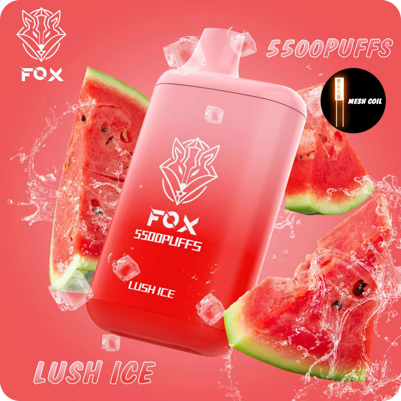 FOX Pod 15 vị 5500 hơi Disposable Vape / 15ml / 5% (50mg) / 550mAh - Type C / Mesh Coil