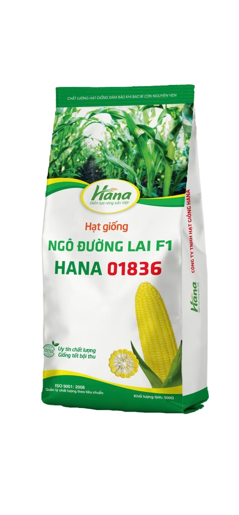 Thành phẩm ngô đường HANA01836