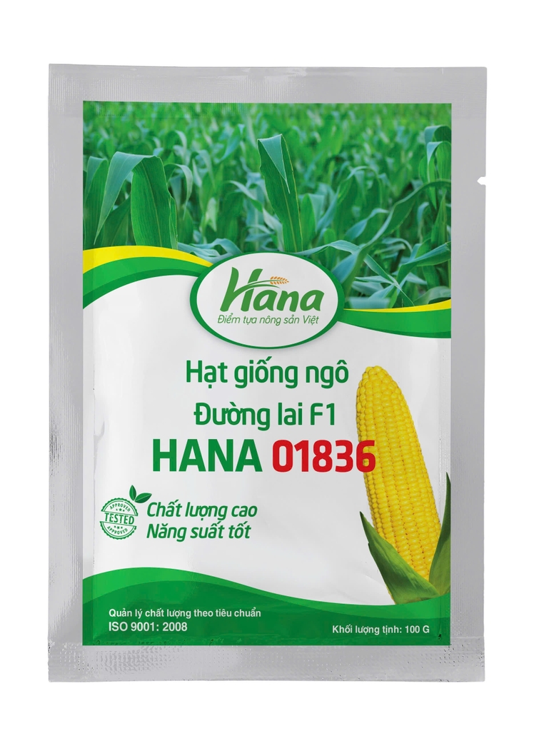 Thành phẩm ngô đường HANA01836