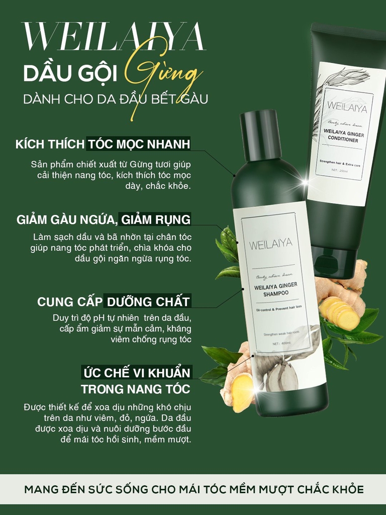 Bộ Dầu Gội Xả Chiết Xuất Gừng Weilaiya 450ml + 250ml (Phù hợp Tóc dầu, bết)