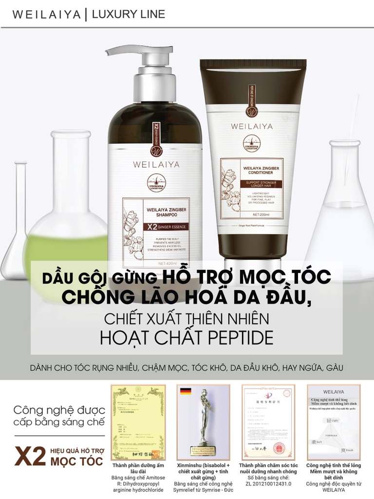 Bộ Dầu Gội Xả Gừng Hỗ Trợ Mọc Tóc Chống Lão Hóa Da Đầu 420ml + 200ml - Tặng Kem Massage Da Đầu