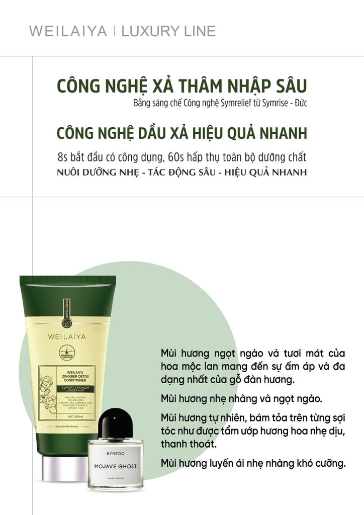 Bộ Dầu Gội Xả Gừng Hỗ Trợ Mọc Tóc Detox Da Đầu 420ml + 200ml - Tặng Kem Massage Da Đầu