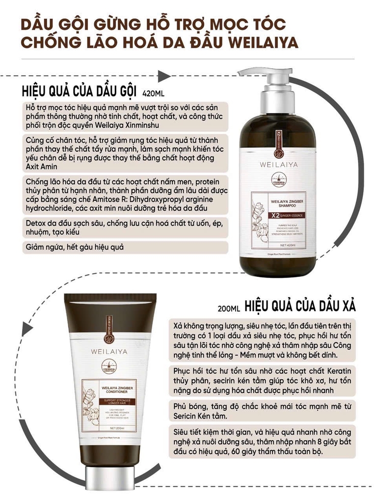 Bộ Dầu Gội Xả Gừng Hỗ Trợ Mọc Tóc Chống Lão Hóa Da Đầu 420ml + 200ml - Tặng Kem Massage Da Đầu