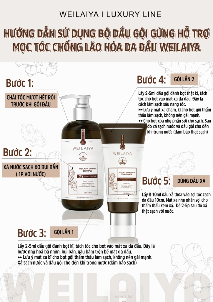 Bộ Dầu Gội Xả Gừng Hỗ Trợ Mọc Tóc Chống Lão Hóa Da Đầu 420ml + 200ml