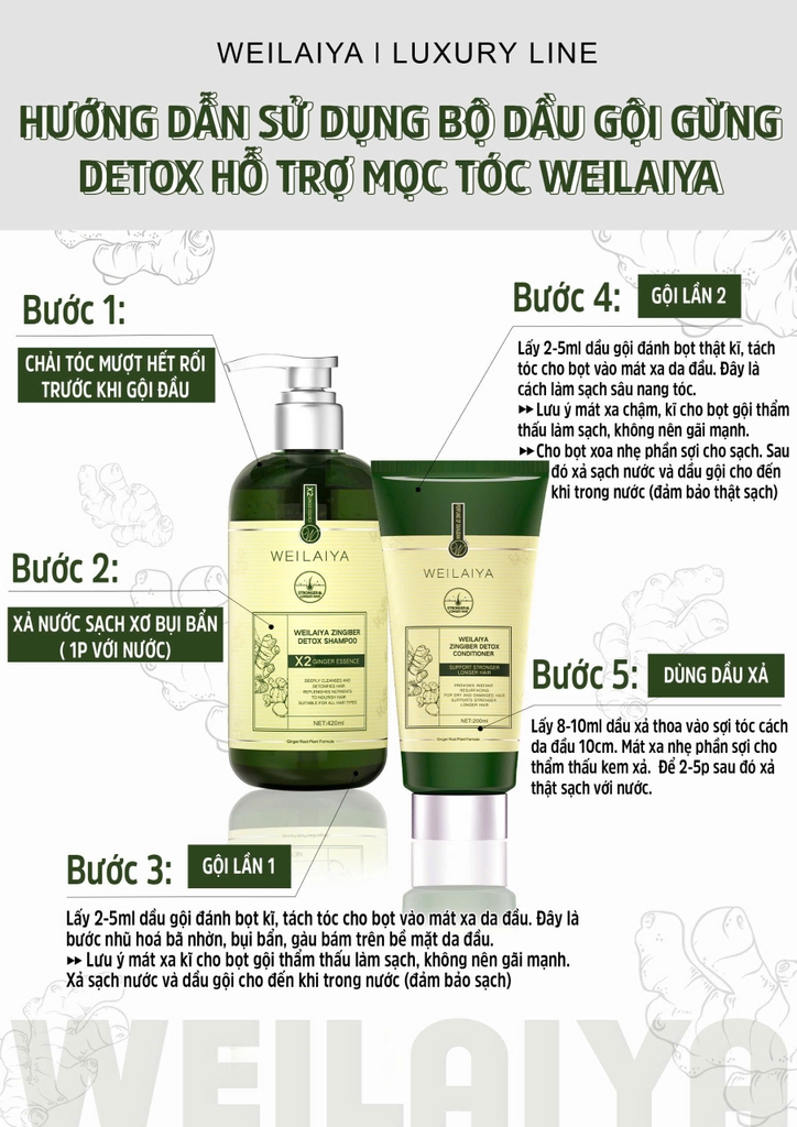 Bộ Dầu Gội Xả Gừng Hỗ Trợ Mọc Tóc Detox Da Đầu 420ml + 200ml