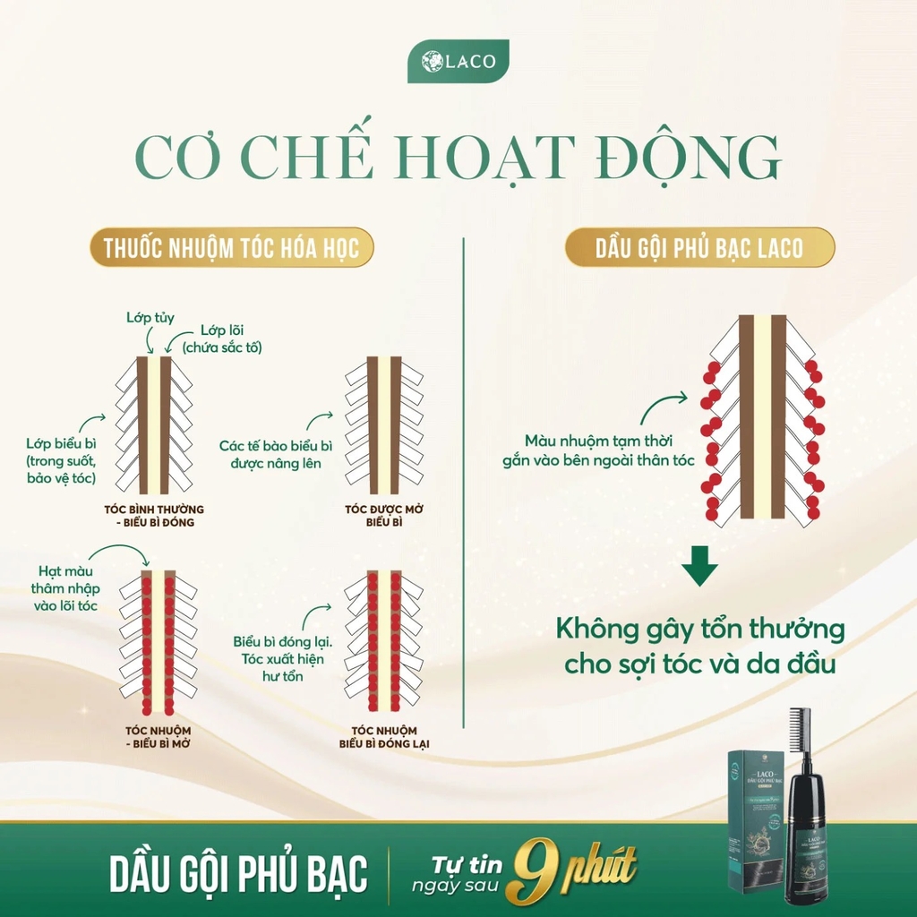 Dầu Gội Phủ Bạc LACO Black Hair 200ml