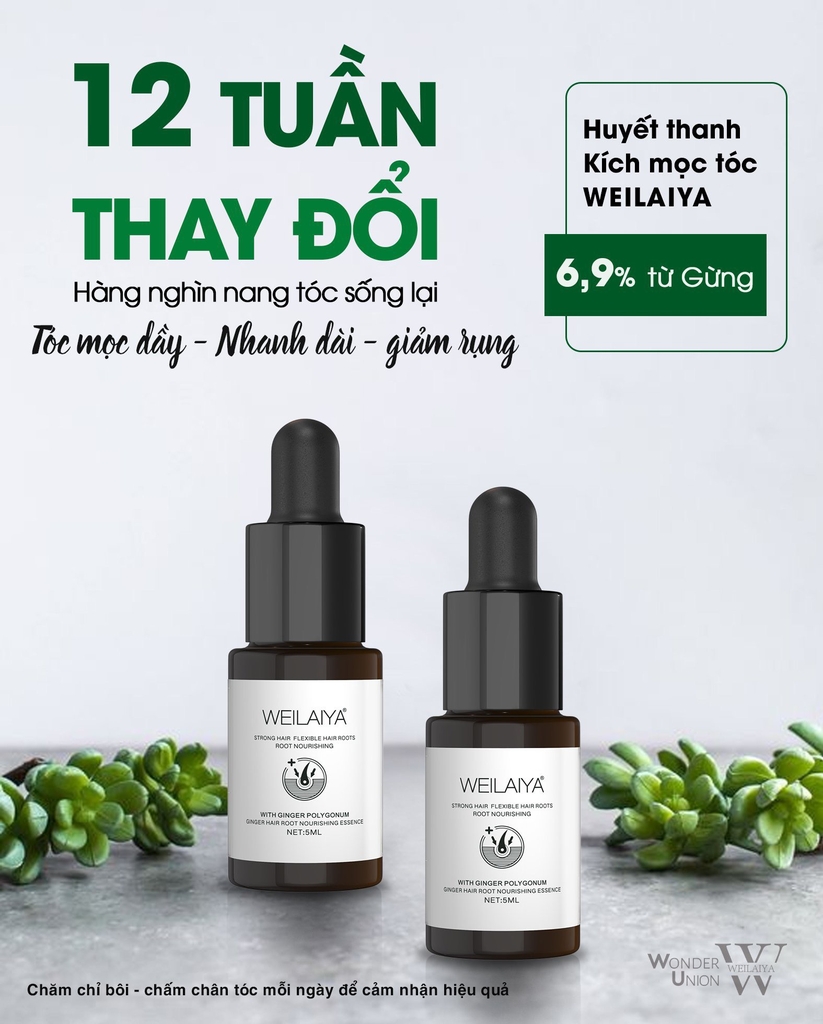 [Combo 3 Hộp] Huyết Thanh Mọc Tóc Weilaiya With Ginger Hair Root Nourishing Essence