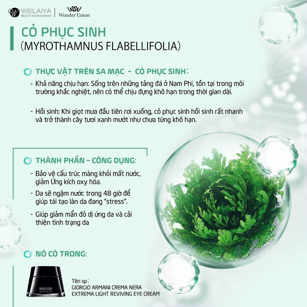 Combo 2 Hộp Mặt Nạ Cấp Ẩm Trắng Da Cỏ Vạn Năm - Hồng Vạn Cánh Weilaiya