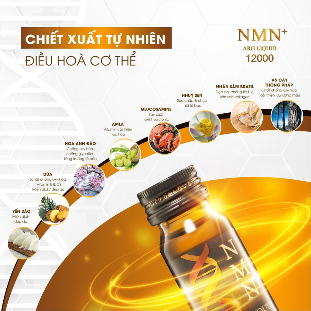 Nước Uống Trẻ Hóa Da NMN+ Arg Liquid 12000 (Hộp 10 lọ x 30ml)