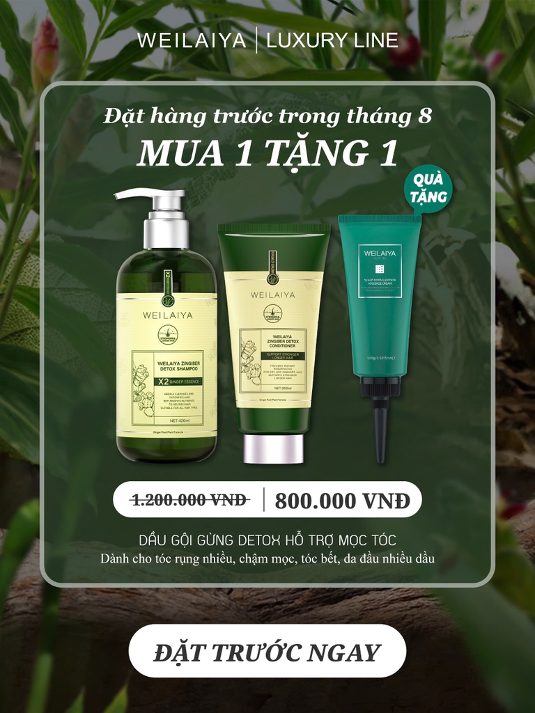 Bộ Dầu Gội Xả Gừng Hỗ Trợ Mọc Tóc Detox Da Đầu 420ml + 200ml - Tặng Kem Massage Da Đầu
