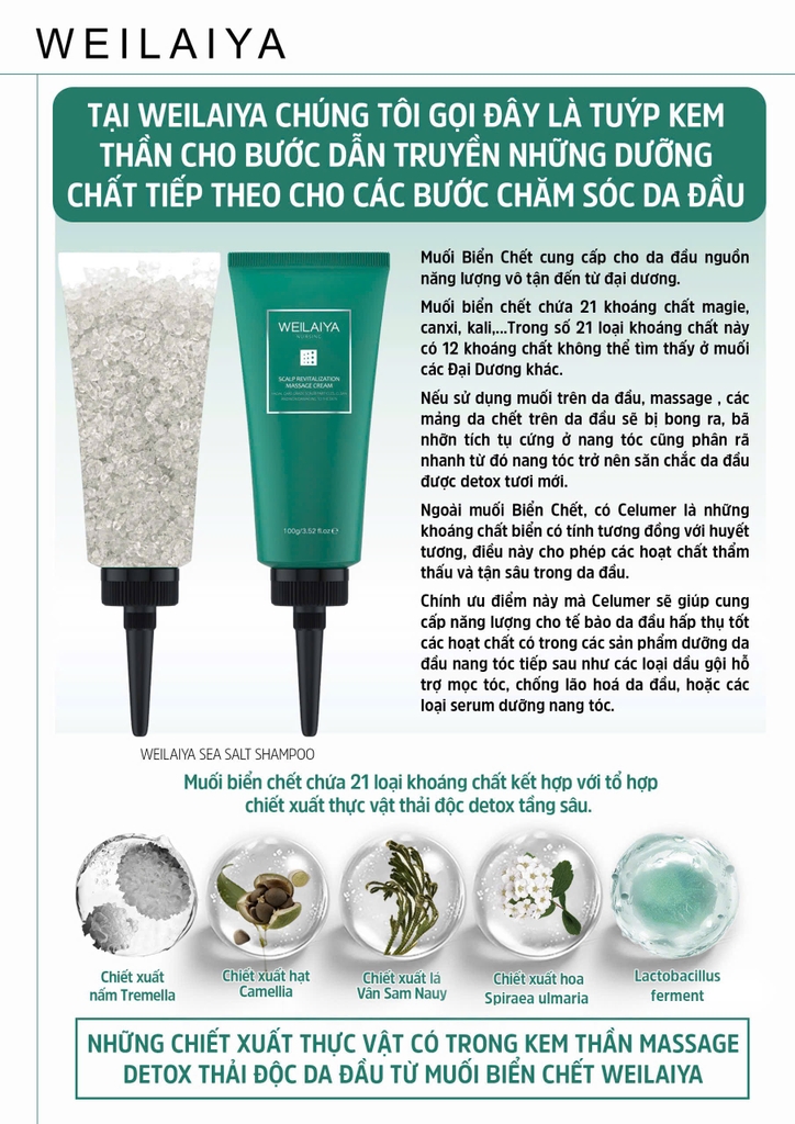 Kem Massage Thải Độc Detox Da Đầu Chiết Xuất Muối Biển Weilaiya 100g