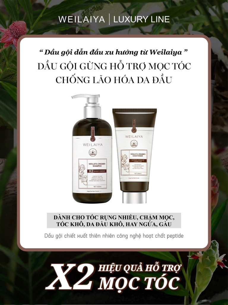 Bộ Dầu Gội Xả Gừng Hỗ Trợ Mọc Tóc Chống Lão Hóa Da Đầu 420ml + 200ml