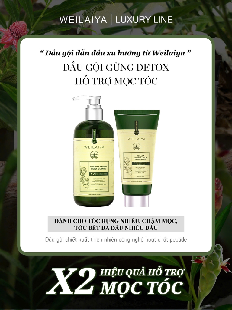 Bộ Dầu Gội Xả Gừng Hỗ Trợ Mọc Tóc Detox Da Đầu 420ml + 200ml