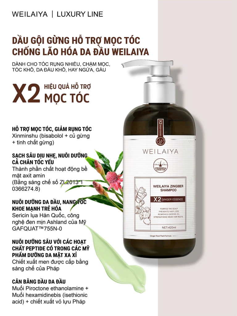 [Hộp Nâu] Sét Quà Gội Xả Gừng Luxury Nâu Chống Lão Hóa X2 Mọc Tóc