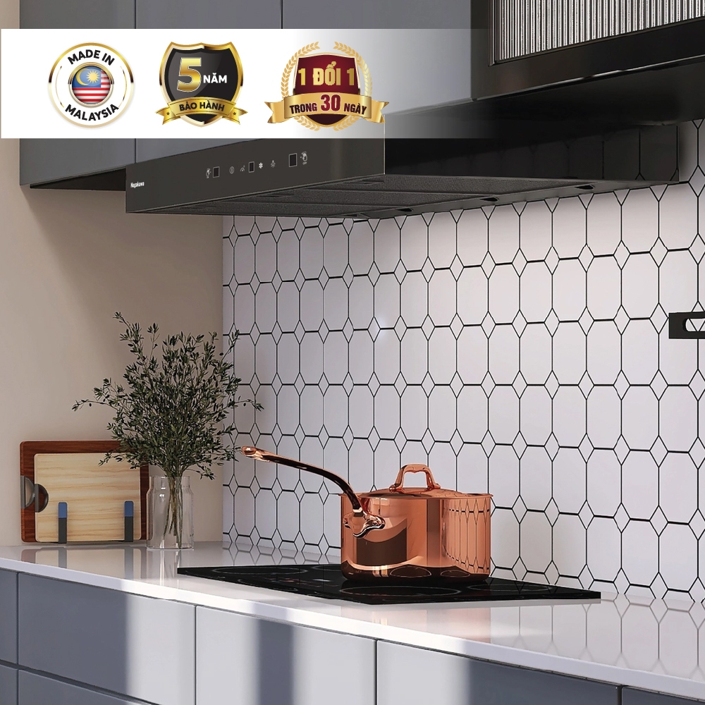 Máy hút mùi âm tủ 70cm Nagakawa NKKH01M70