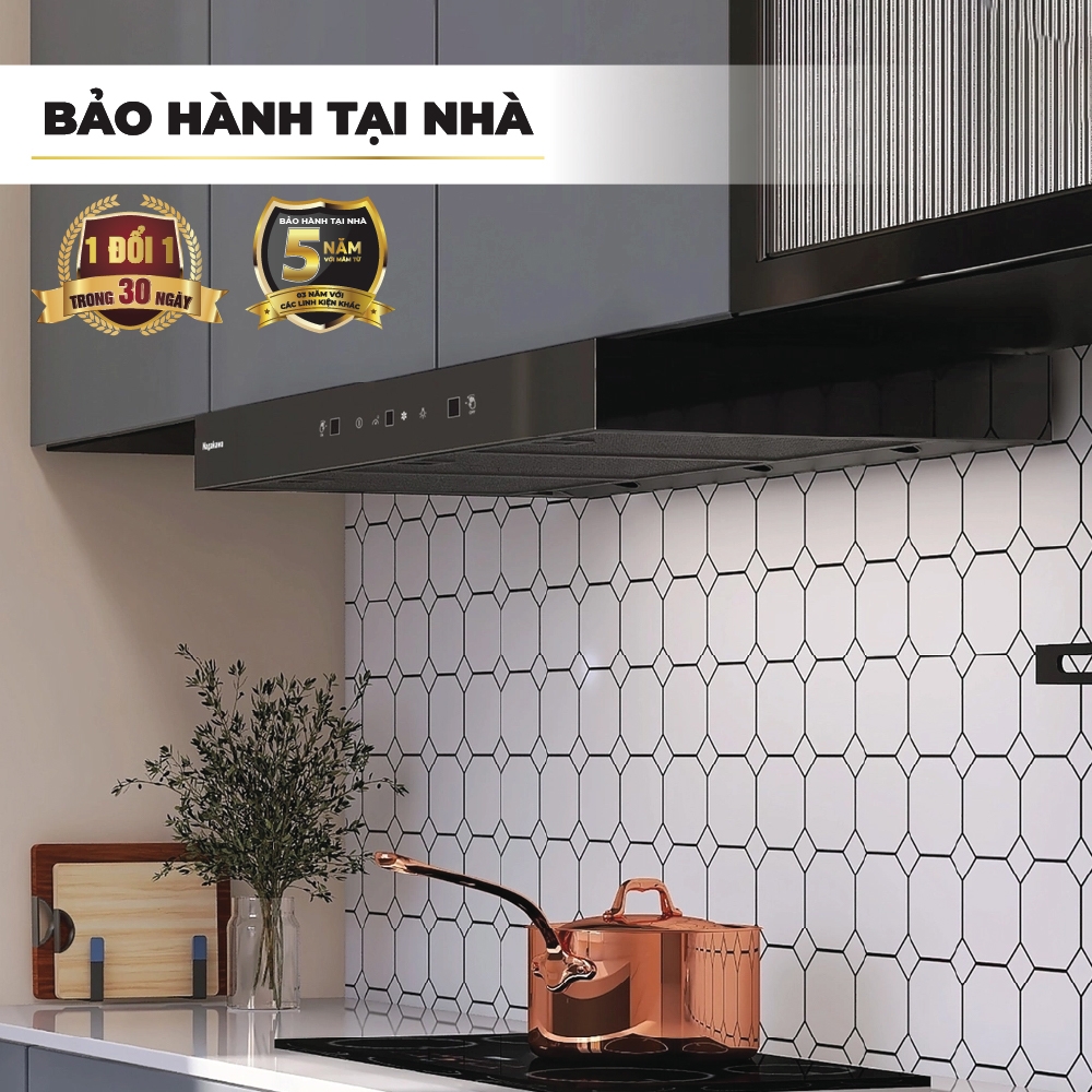Máy hút mùi âm tủ 70cm Nagakawa NKKH01M70