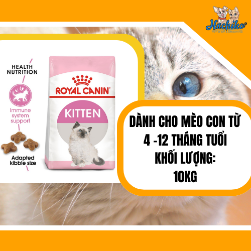 Thức ăn dành cho mèo con Royal Canin Kitten 400gr/1kg/2kg/10kg