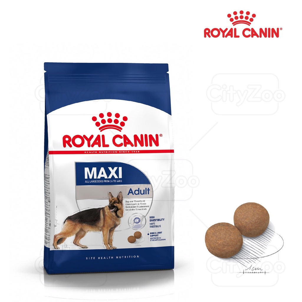 Thức ăn cho chó trưởng thành Royal Canin Maxi Adult trên 12 tháng tuổi