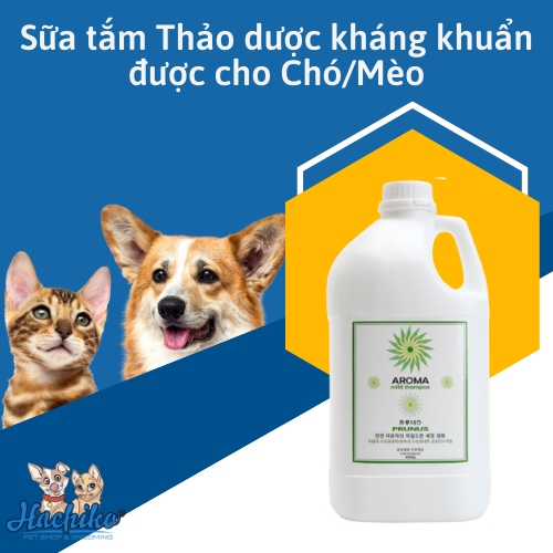 Sữa tắm Prunus Aroma Mild thơm mát tự nhiên cho Chó/ Mèo 4 lít 