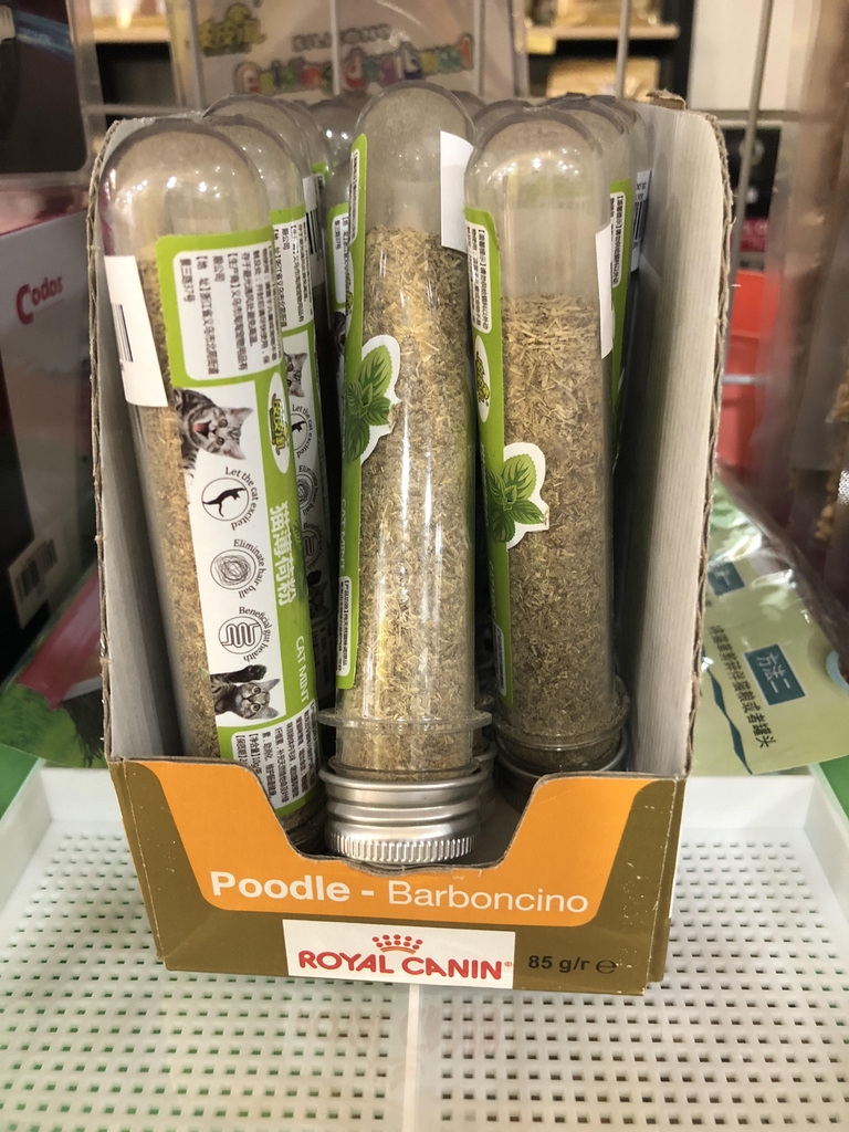 Cỏ Mèo Catnip Lọ