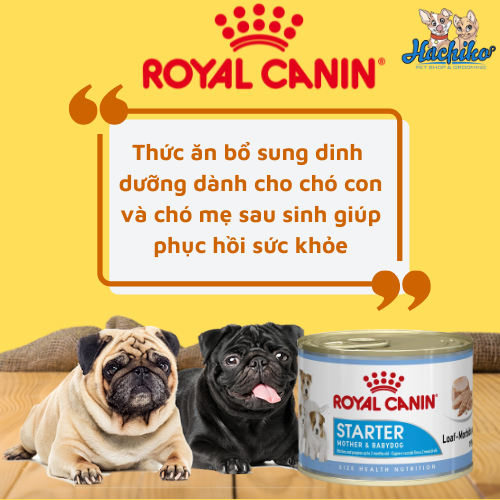 Pate Royal Canin Starter Mousse cho chó mẹ và chó con 195gr